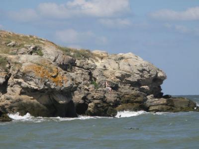 Прикрепленное изображение: IMG_0826_01.jpg